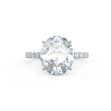 Oval Hidden Halo